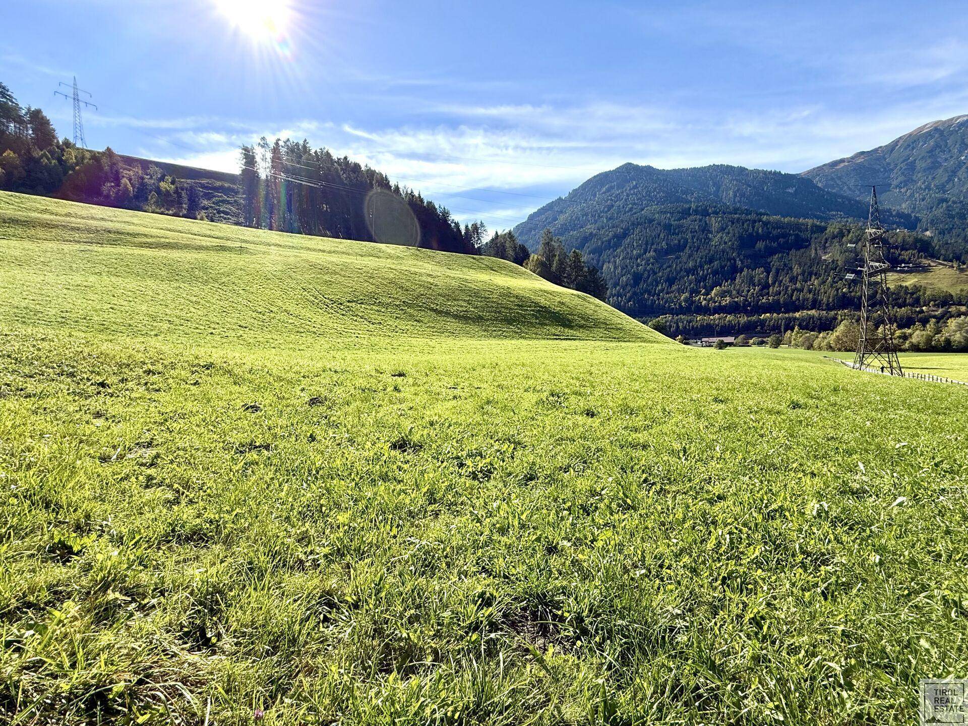 Grundstück