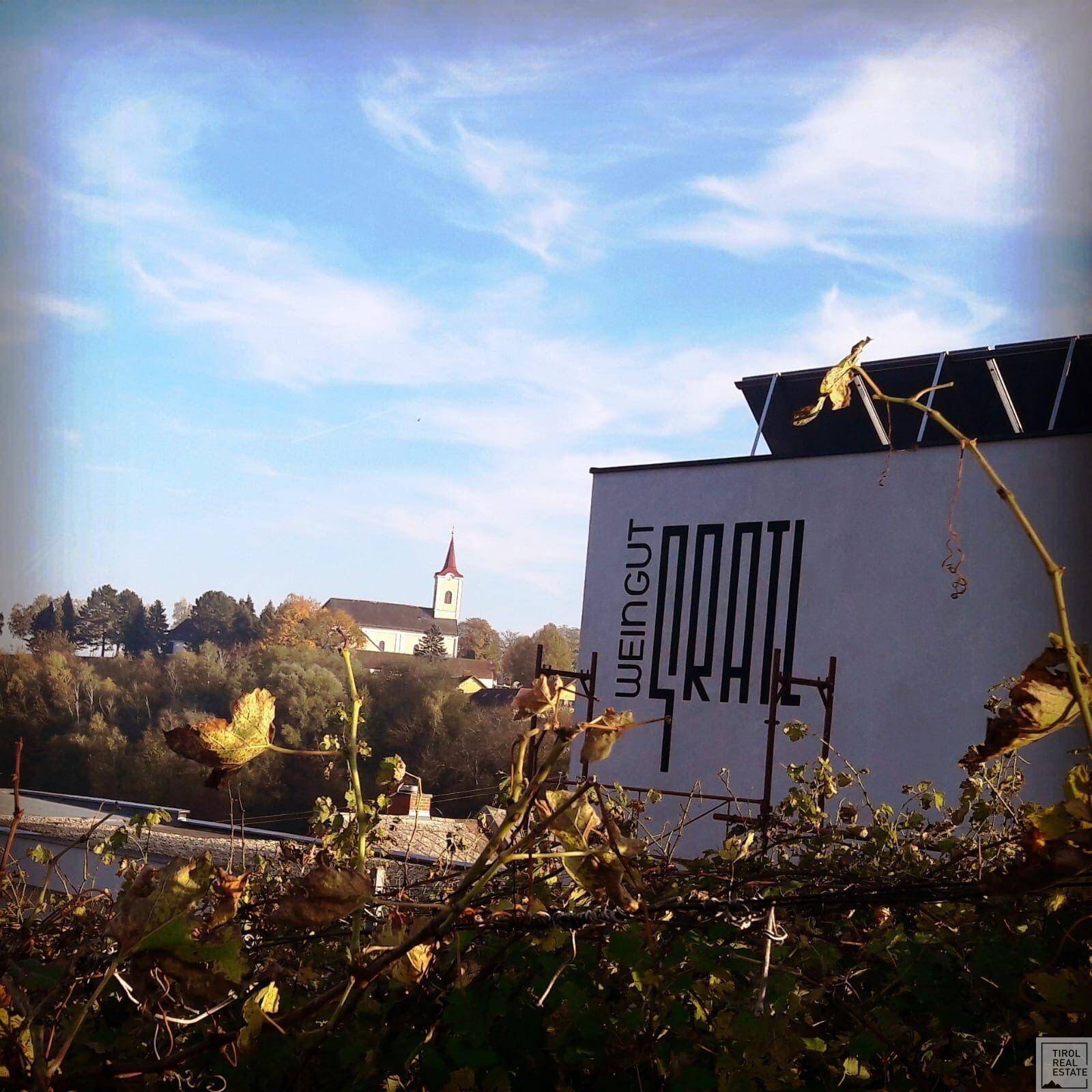 Gebäude eines Weinguts mit einer Kirche im Hintergrund, umgeben von herbstlicher Vegetation und blauem Himmel.