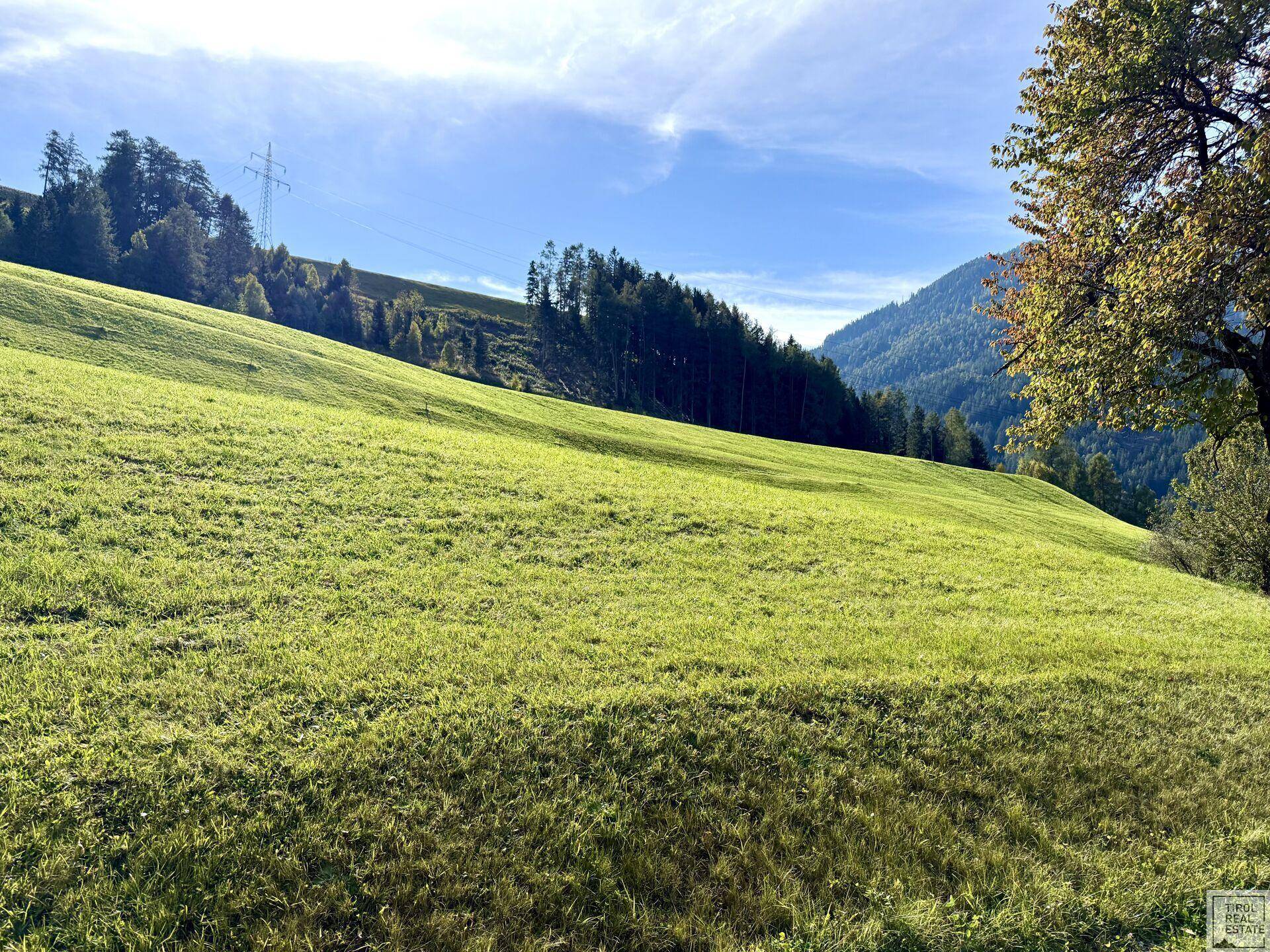 Grundstück