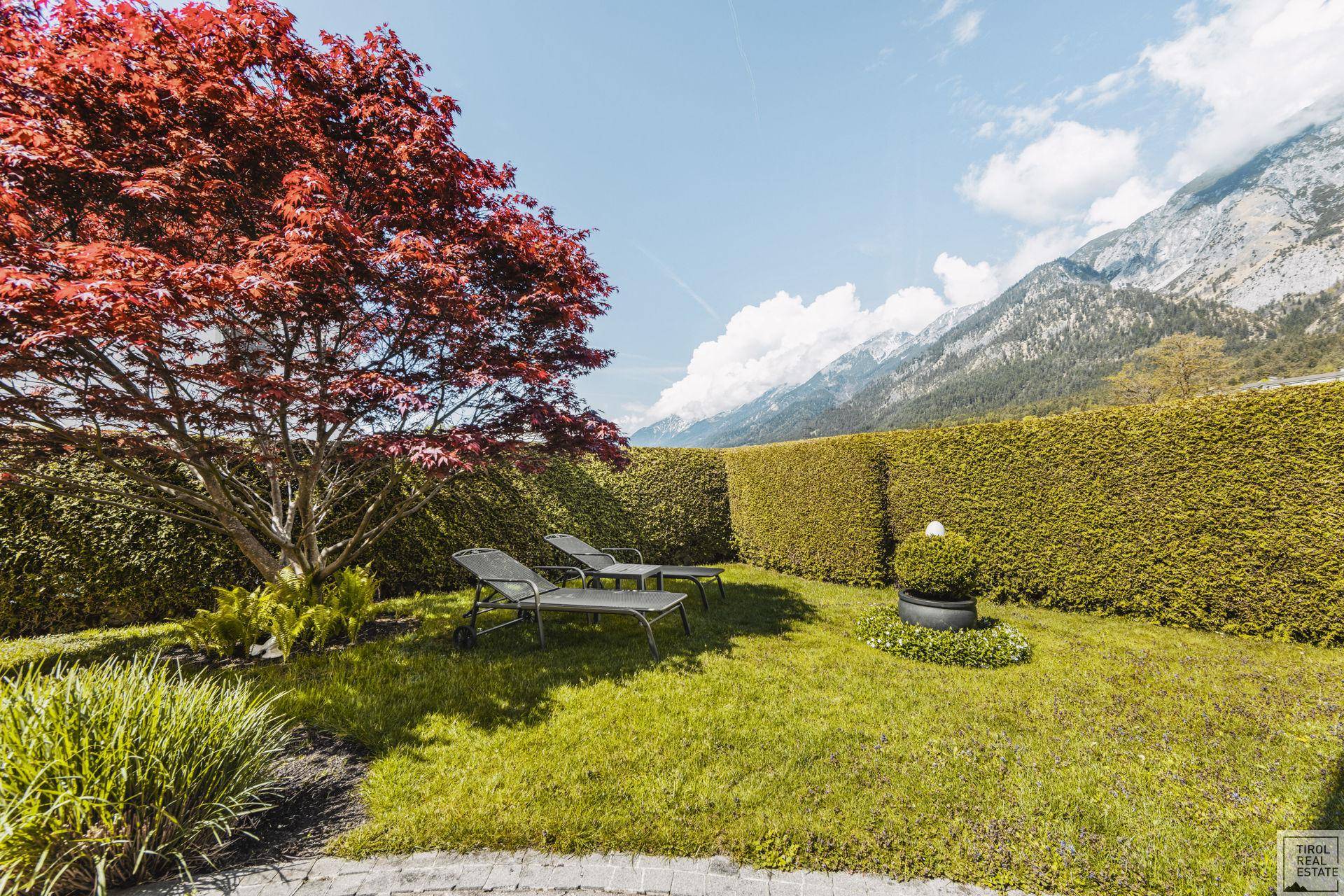 Sonniger Gartenbereich mit Liegestühlen, einem roten Baum und einer hohen Hecke vor Bergkulisse.