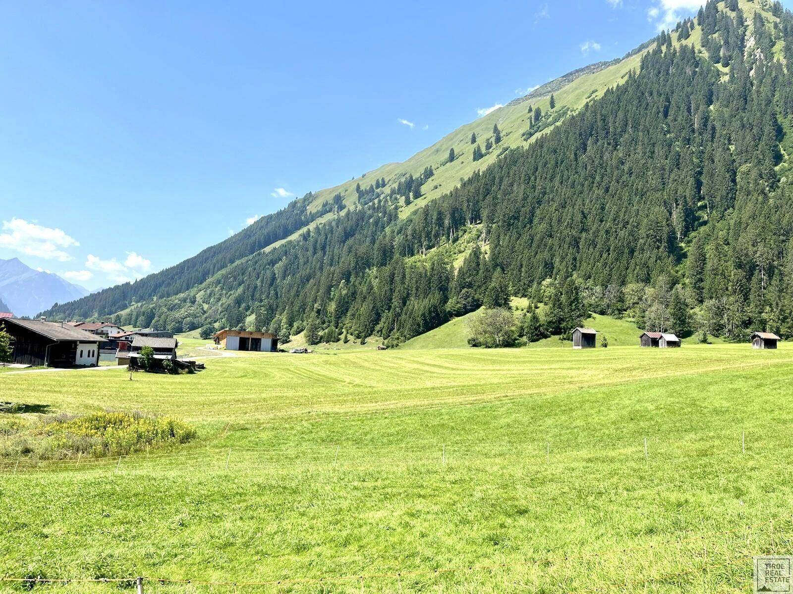 Grundstück