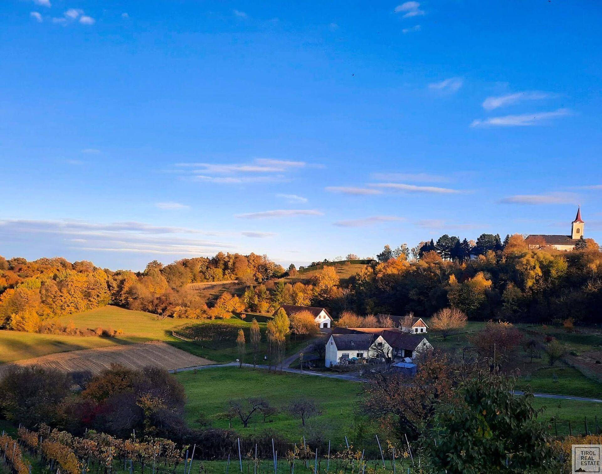 Herbstliche Landschaft mit bunten Bäumen, Weinbergen und einem Dorf mit Kirche im Hintergrund.