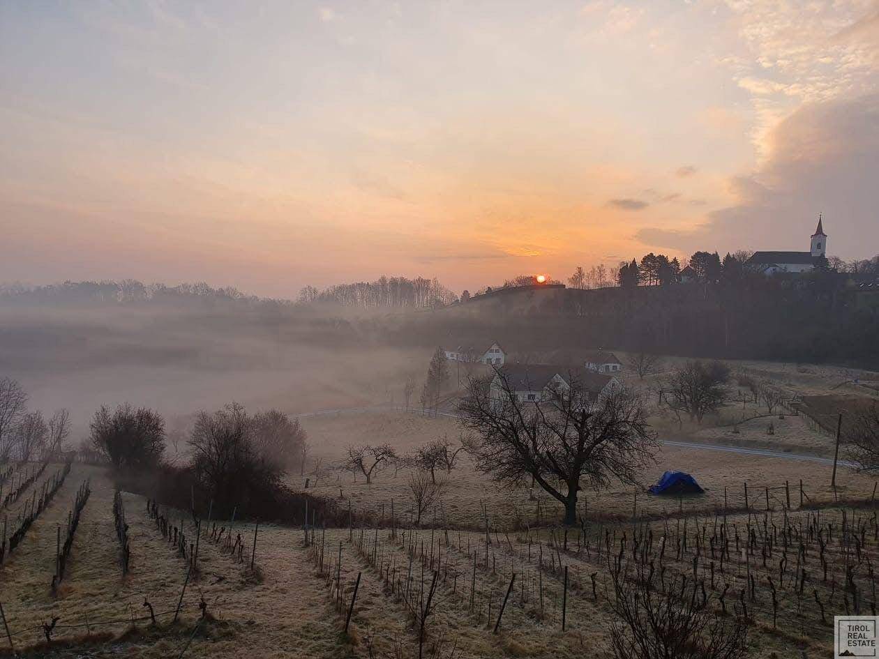 Winterliche Landschaft mit gefrorenen Weinbergen und einem Dorf mit Kirche im Morgengrauen.