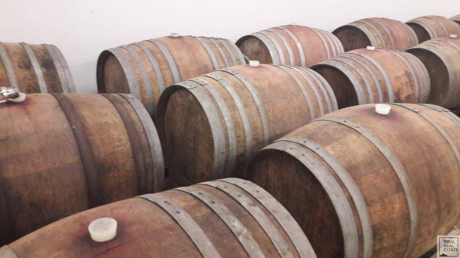 Reihe von Holzfässern, die in einem Weinkeller zur Reifung des Weins gelagert werden.