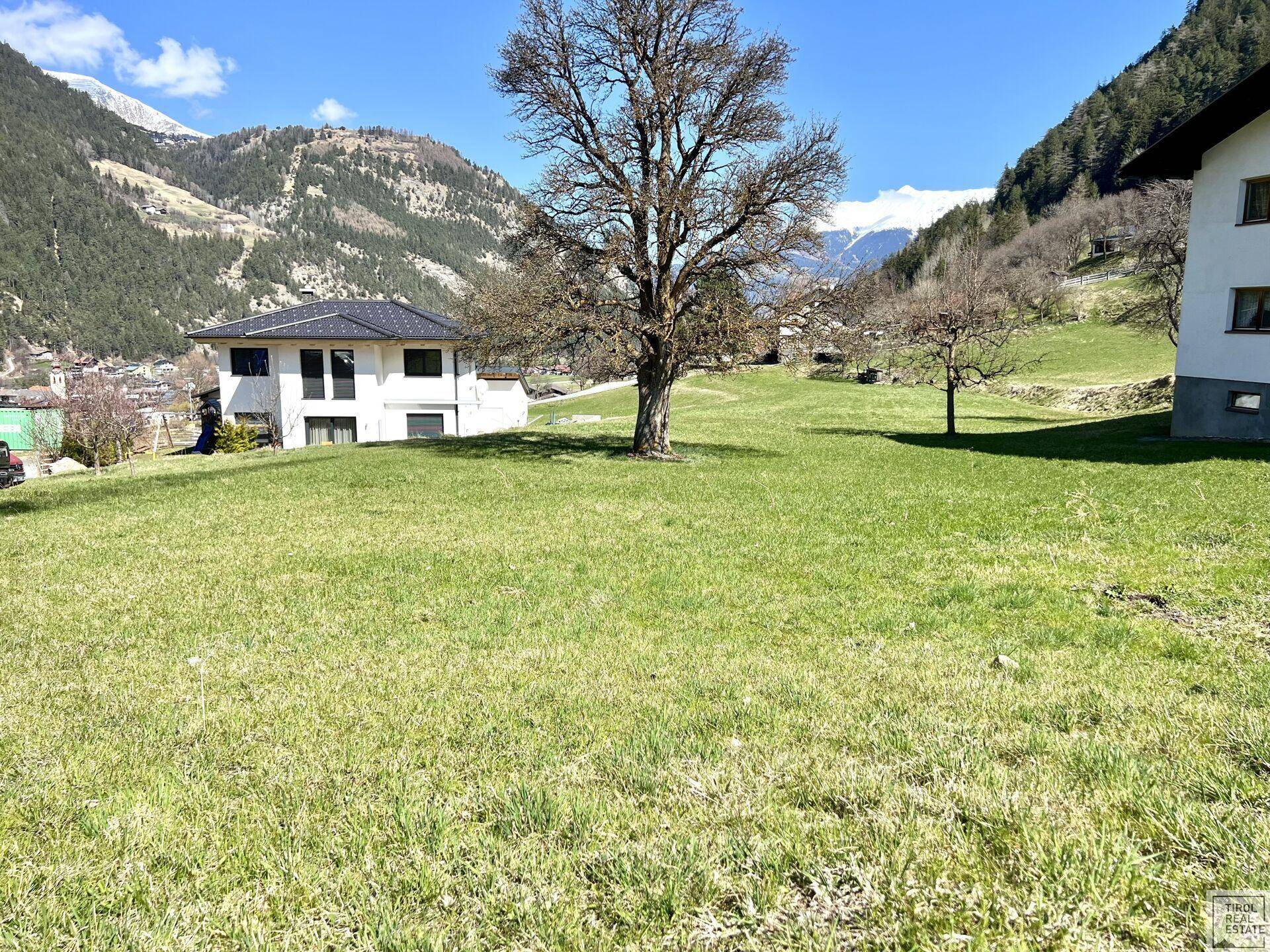 Weitläufige Grünfläche mit einem großen Baum und einem modernen Wohnhaus im Hintergrund.