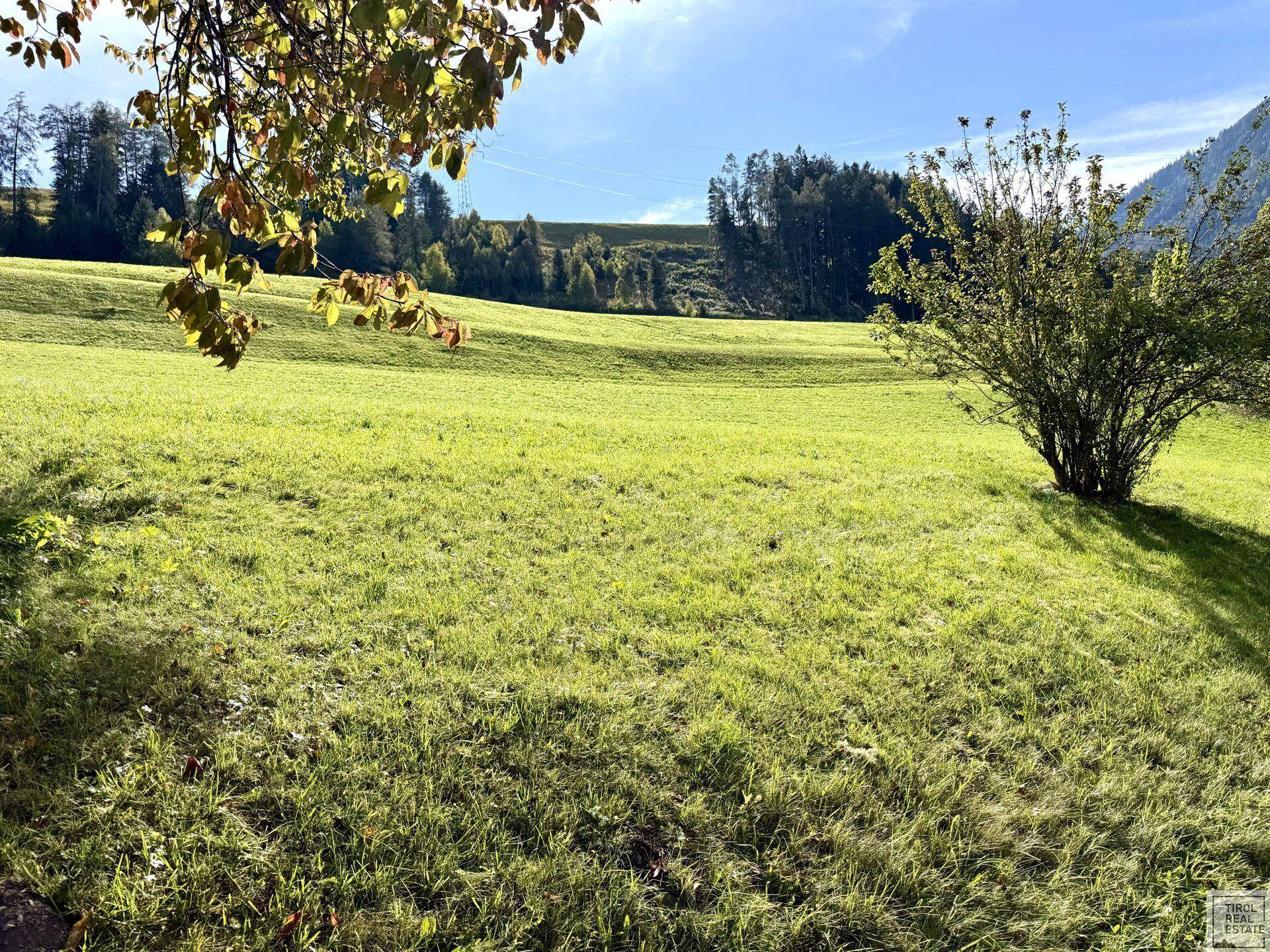Grundstück