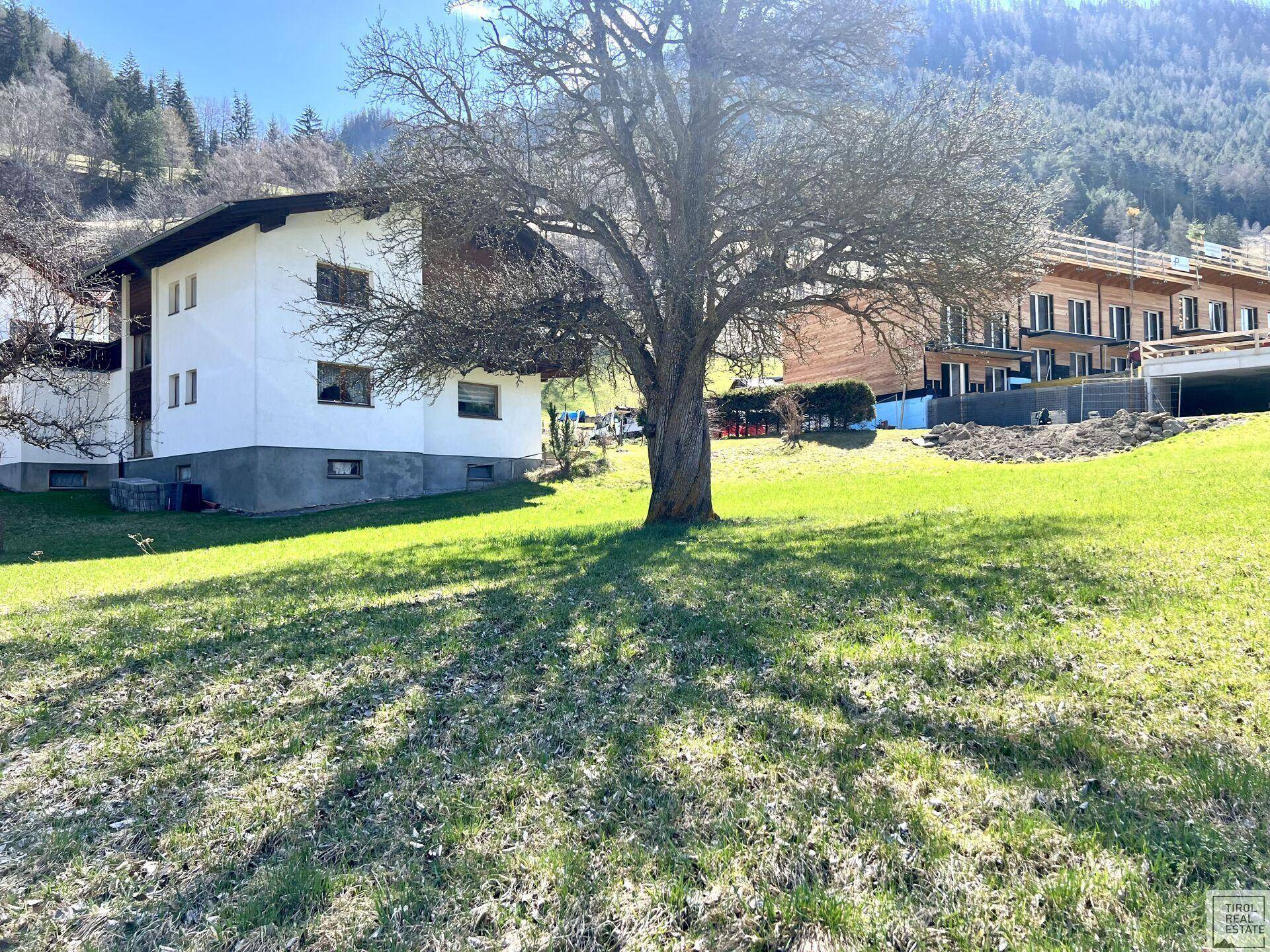 Weitläufige Grünfläche mit einem großen Baum und einem traditionellen Wohnhaus im Hintergrund.