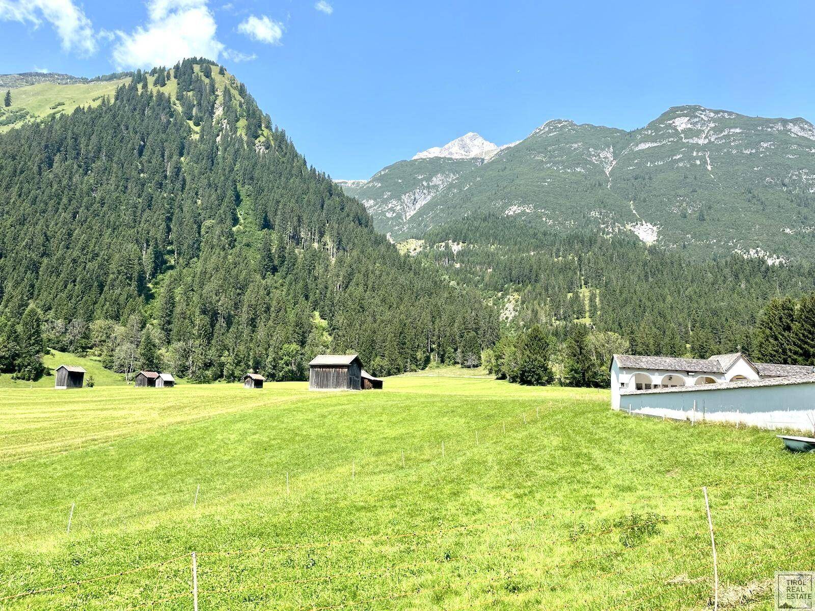 Grundstück