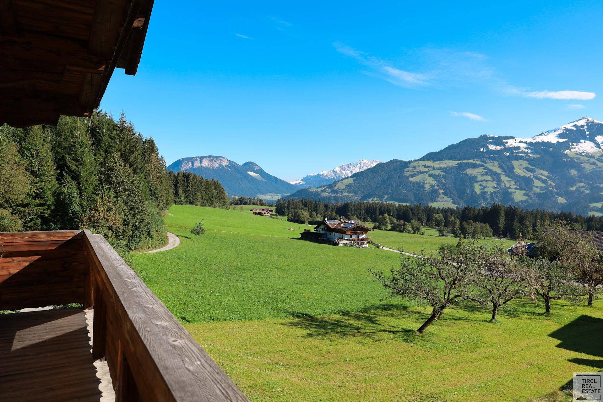 Ausblick vom Balkon