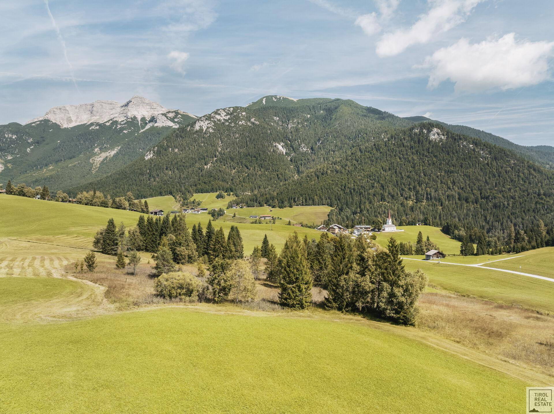 Ausblick
