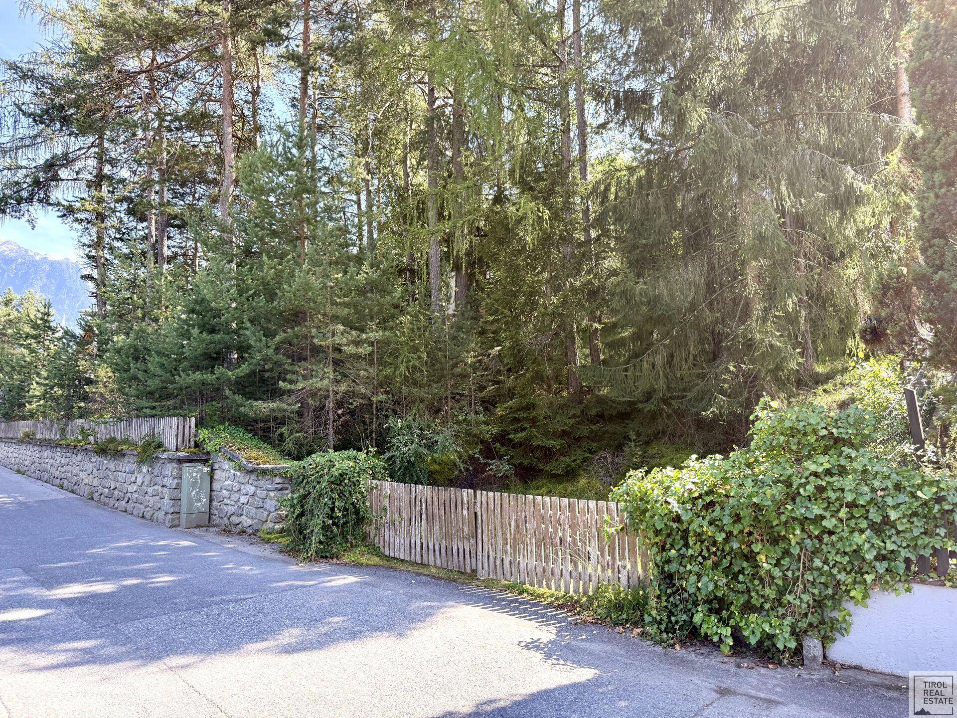 Umgebung