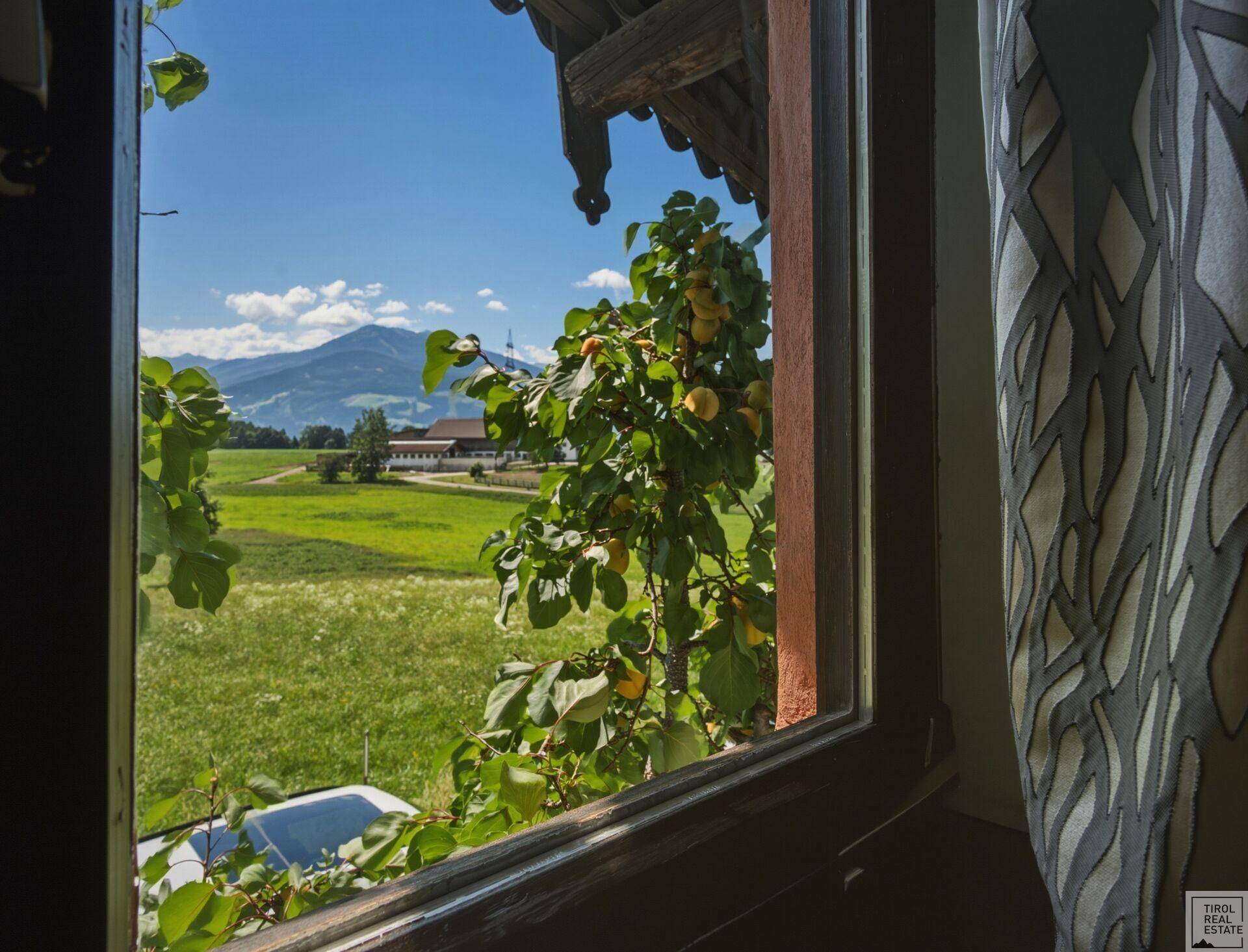 Malerischer Ausblick aus dem Fenster auf grüne Wiesen und Berge.
