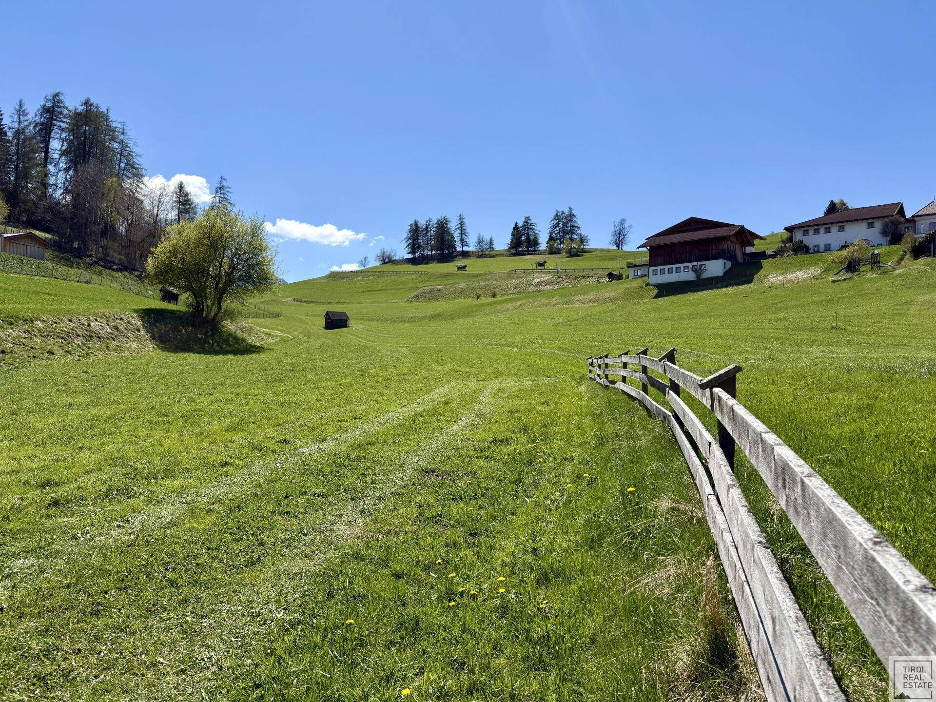 Idyllische grüne Wiesen mit einem Holzzaun, umgeben von Bäumen und einem weiten Blick in die Natur.