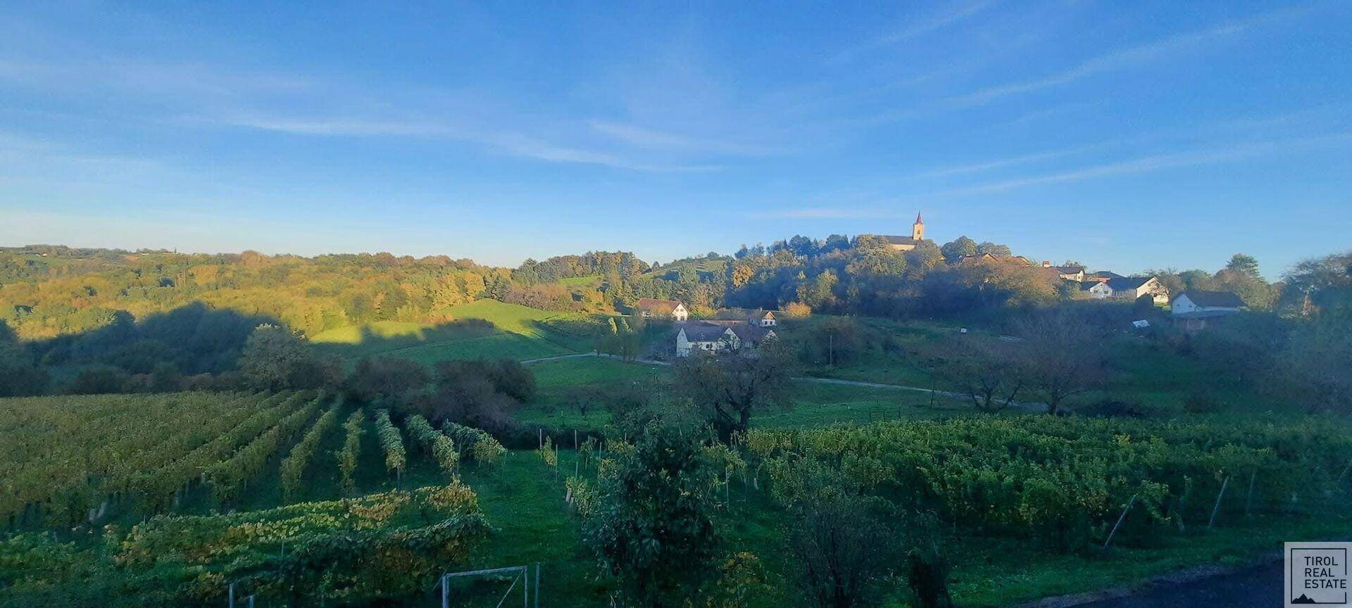 Weitläufige Landschaft mit Weinbergen und einem Dorf auf einem Hügel in der Ferne.