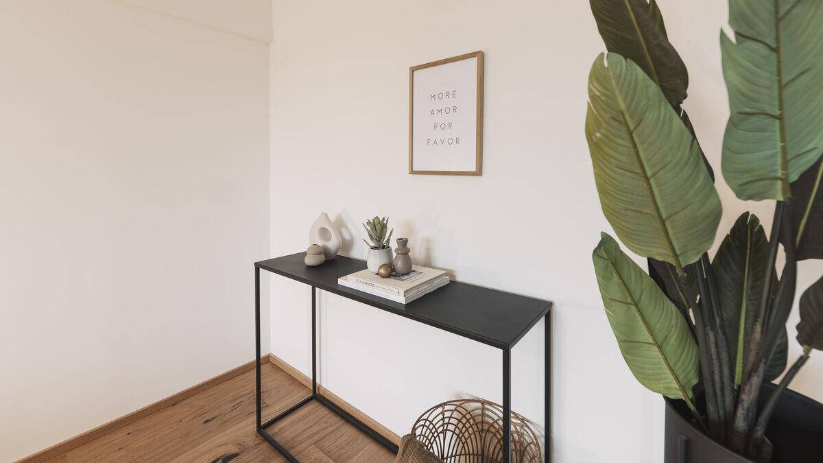 Moderne Konsole mit minimalistischer Dekoration und großer Pflanze im Hintergrund.