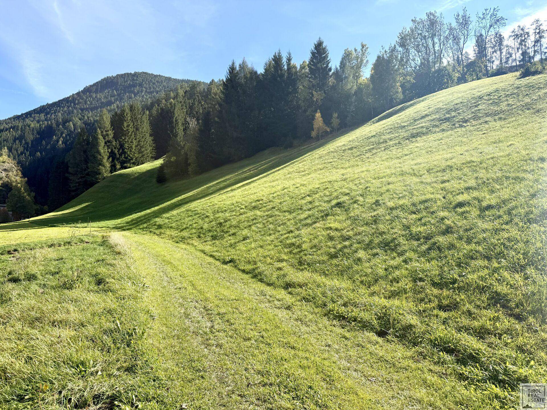 Grundstück