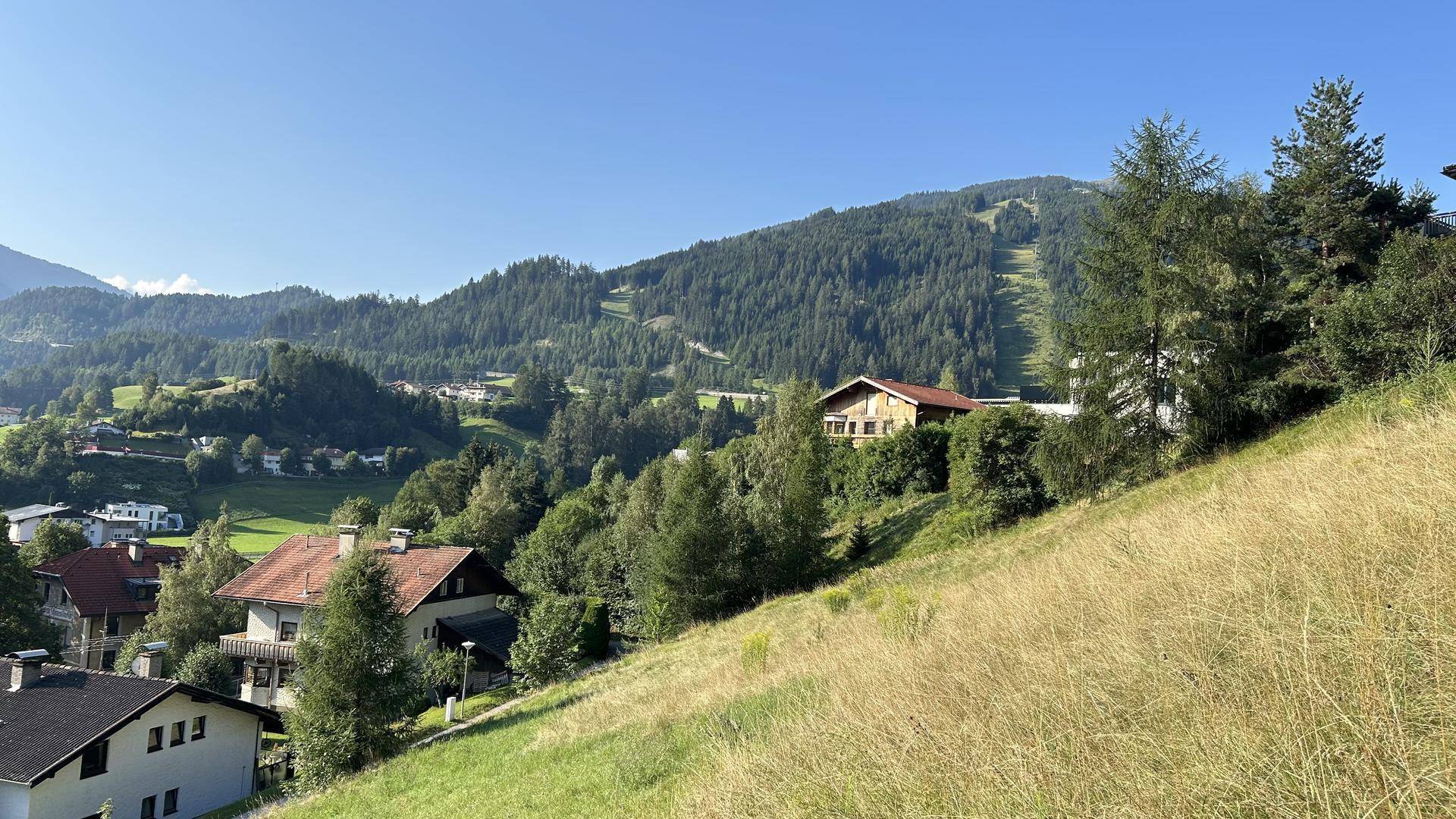 Blick auf eine grüne Hanglandschaft mit vereinzelten Häusern und einer Skipiste im Hintergrund.