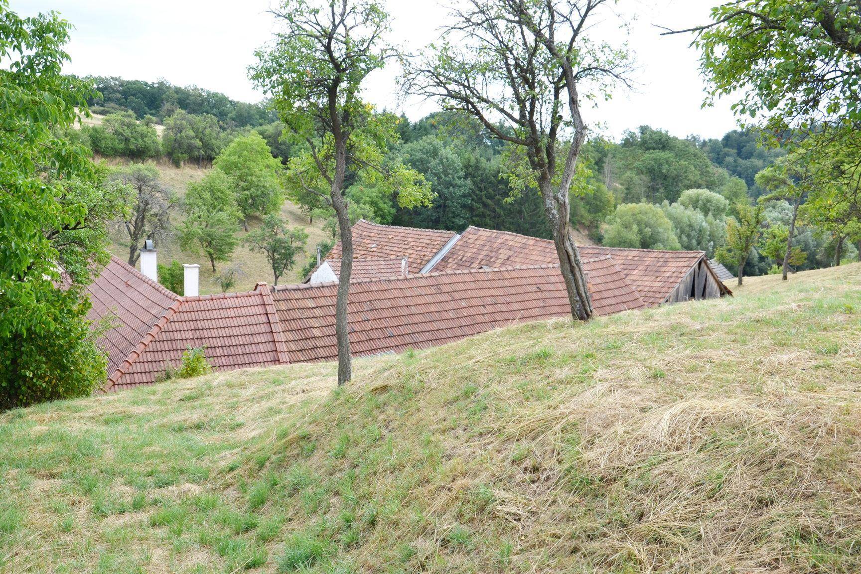 Hügelige Landschaft mit Bäumen und Dächern von Häusern in der Ferne unter bewölktem Himmel.