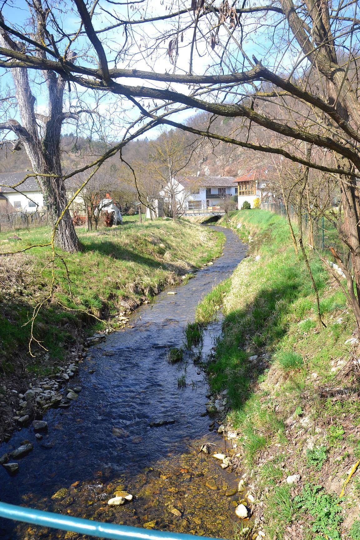 Kleiner Bach fließt durch eine grüne Landschaft mit Bäumen und Häusern im Hintergrund.