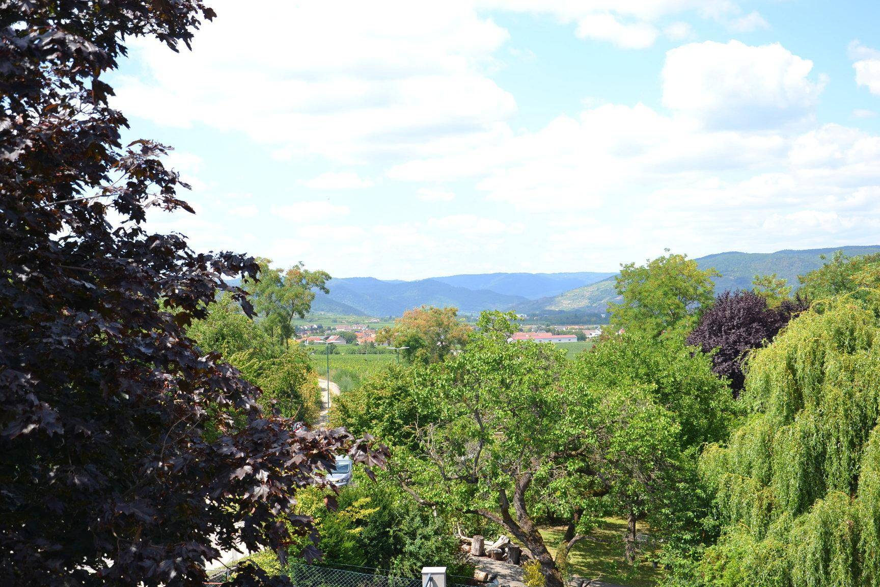 Panoramablick über grüne Hügel, ein Tal mit Weinbergen und ferne Berge unter blauem Himmel.