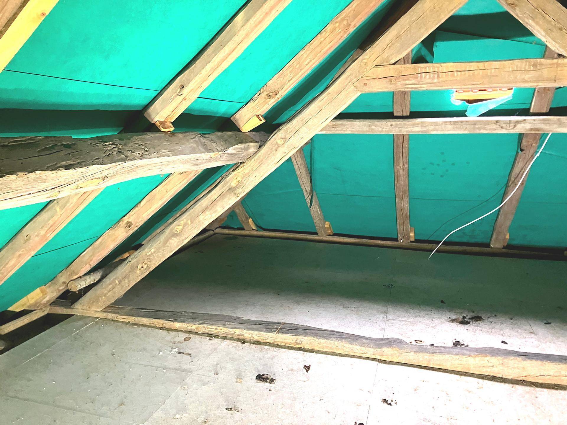 Dachboden mit sichtbaren Holzbalken und grüner Unterspannbahn.