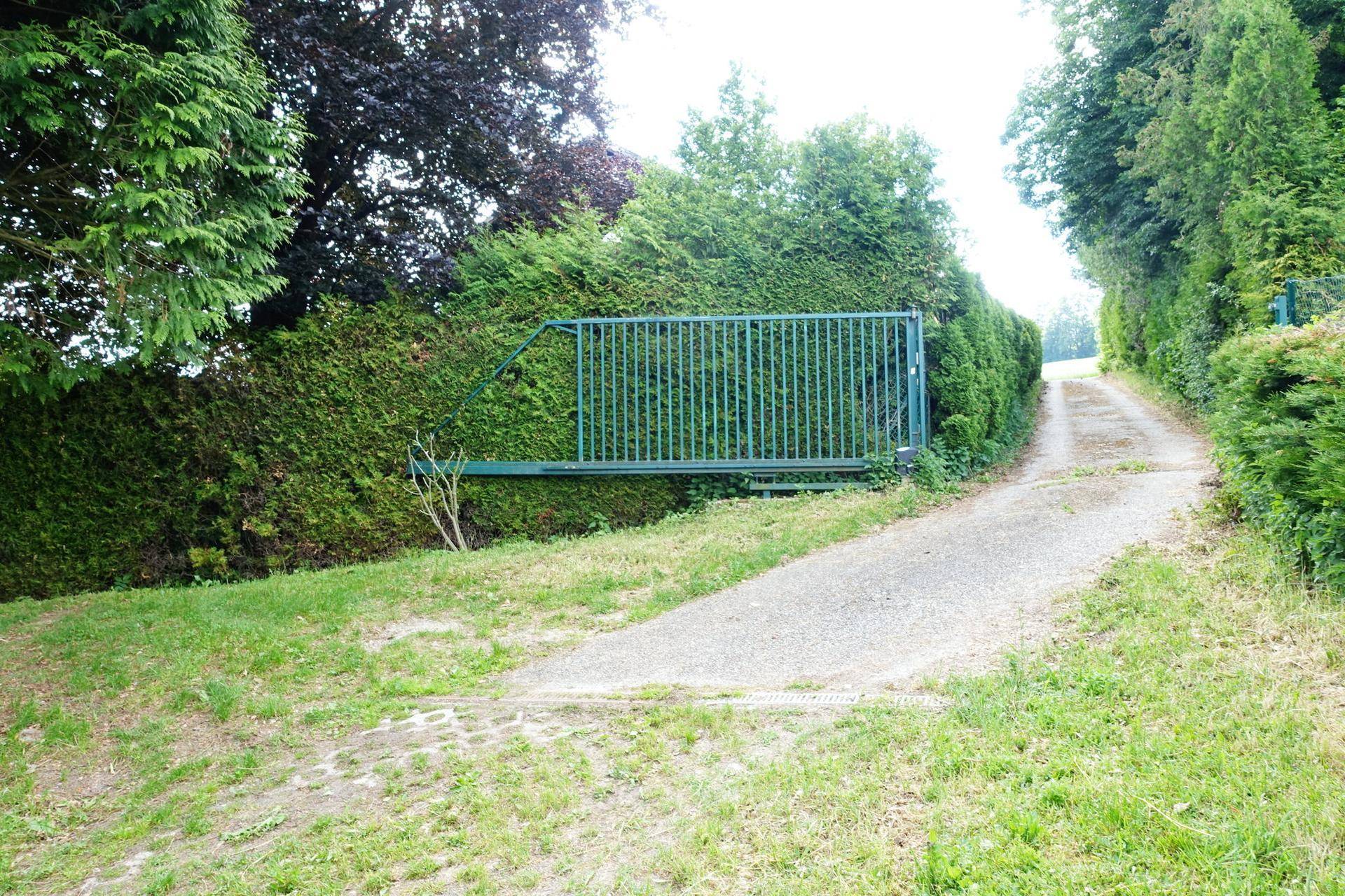 Grünes Eingangstor und Zufahrt zum Grundstück, umgeben von Hecken und Bäumen.