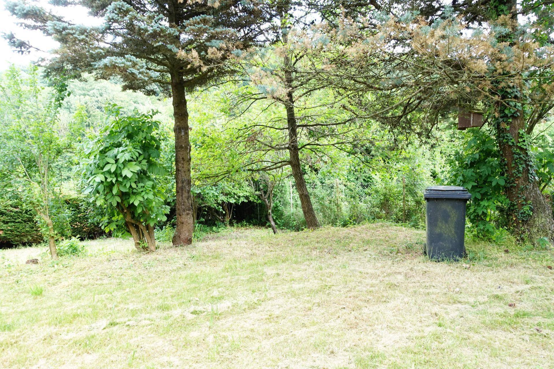 Gartenbereich mit gemähtem Rasen, Bäumen und einem Mülleimer im Hintergrund.