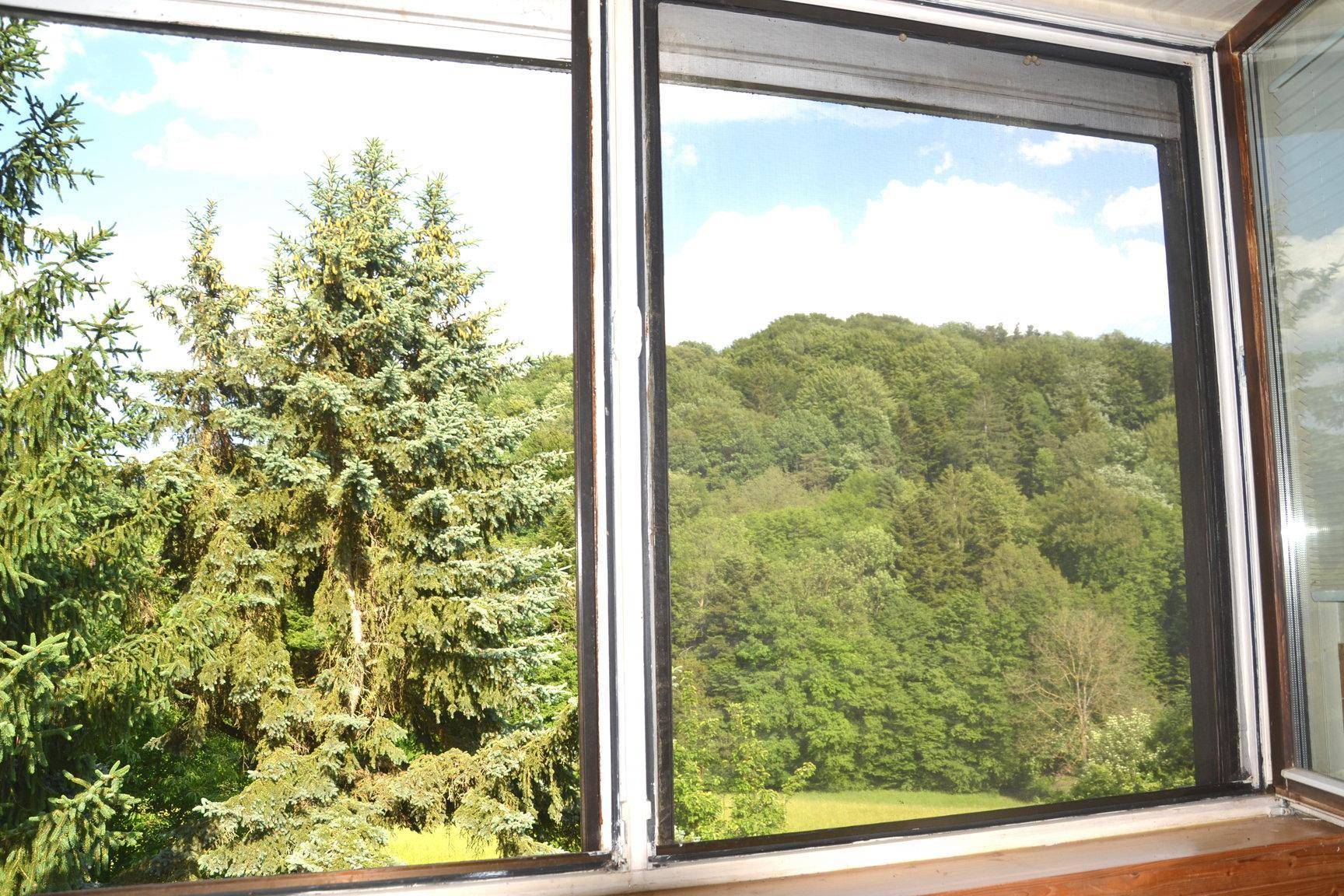 Blick aus einem Fenster auf einen dichten Wald und grüne Hügel in der Ferne.
