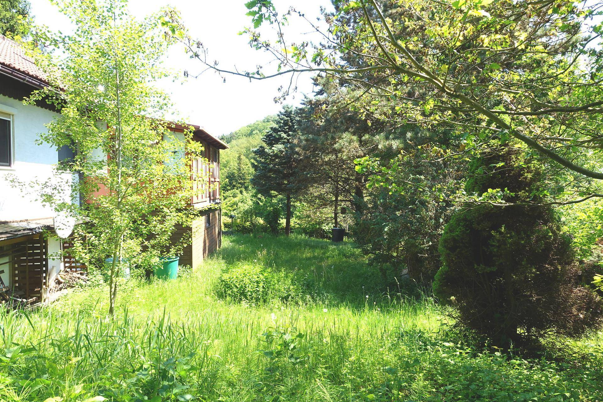 Weitläufiger grüner Gartenbereich neben dem Haus mit hohem Gras und Bäumen.