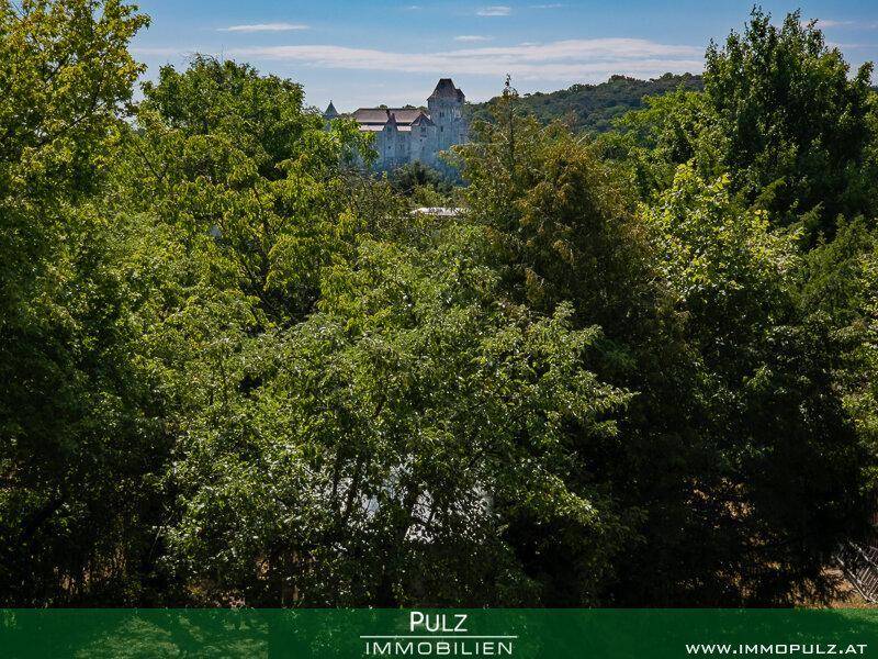 Panoramablick über Baumwipfel auf ein imposantes historisches Gebäude in der hügeligen Landschaft.