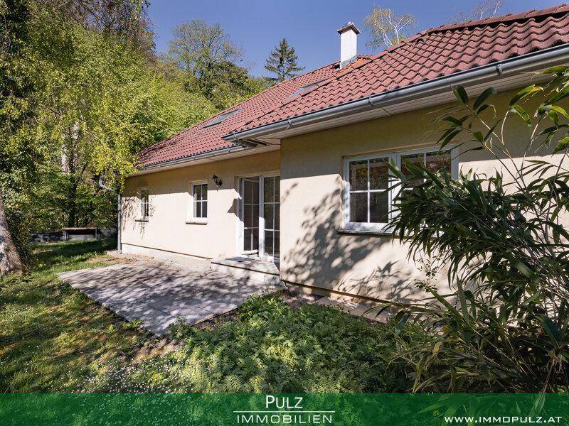 Seitliche Terrasse am Haus mit Zugang zum Garten, umgeben von Sträuchern und Bäumen.
