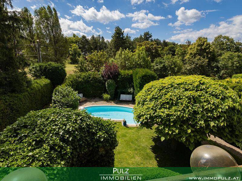 Panoramablick auf den gepflegten Garten mit Pool, umgeben von üppiger Vegetation und Bäumen.