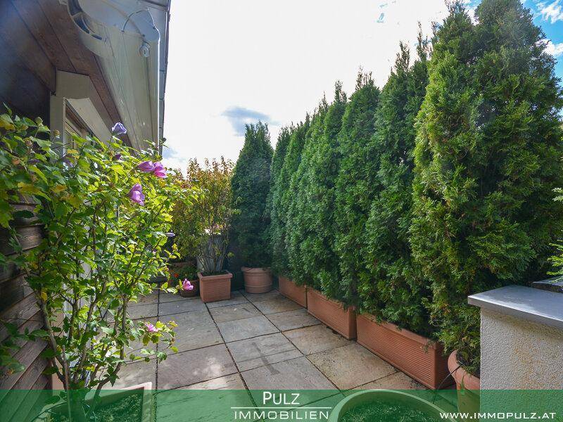 Private Terrasse mit hohen Hecken für Sichtschutz und gepflegten Topfpflanzen.