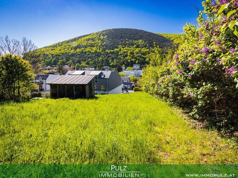 Sonnige grüne Wiese mit Blick auf bewaldete Hügel und eine kleine Siedlung im Tal.