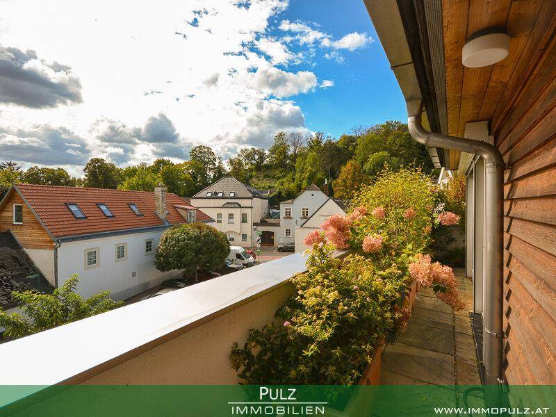 Terrasse mit blühenden Pflanzen und einem weiten Blick über die umliegende Nachbarschaft.