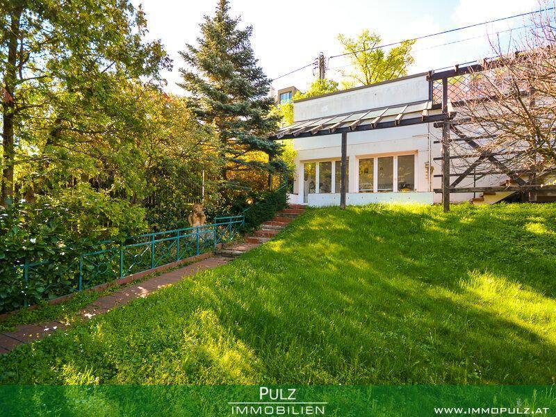 Weitläufiger Garten mit Rasenfläche und Blick auf das Haus mit Terrasse.