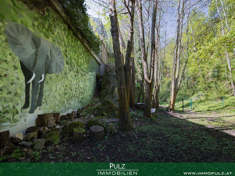 Naturbelassener Bereich mit Bäumen und einer begrünten Wand, die ein Elefantenbild zeigt.