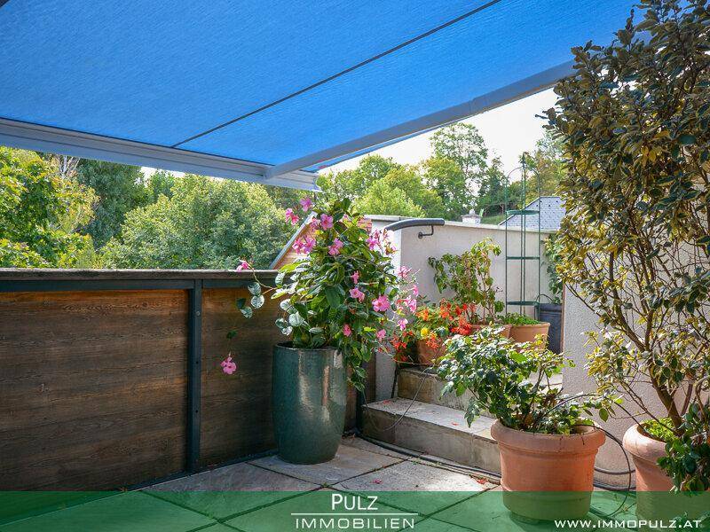 Sonniger Terrassenbereich mit blühenden Pflanzen und einer ausfahrbaren blauen Markise.