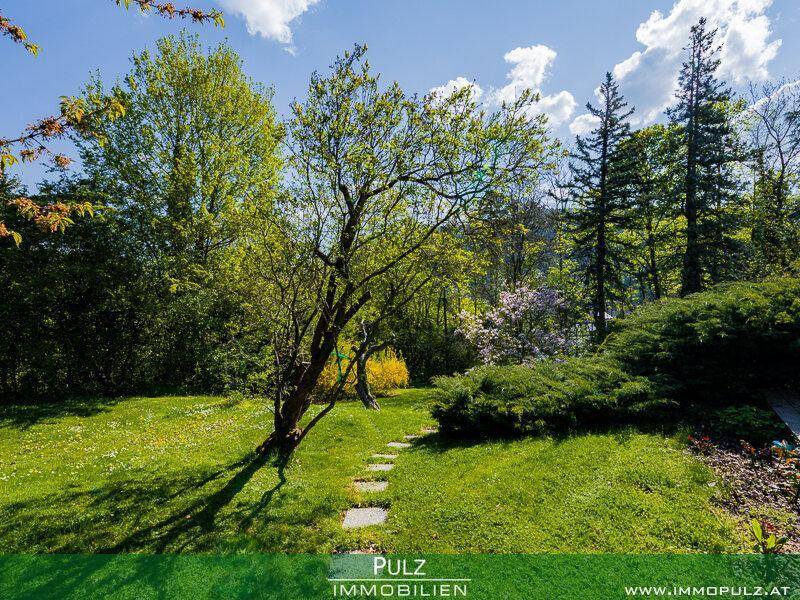 Weitläufiger Garten mit Trittsteinen, üppigem Rasen und altem Baumbestand in sonniger Lage.