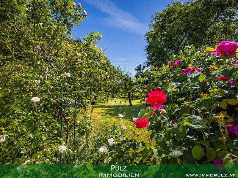Weitläufiger Garten mit blühenden Rosen, Rasenflächen und schattenspendenden Bäumen im Hintergrund.