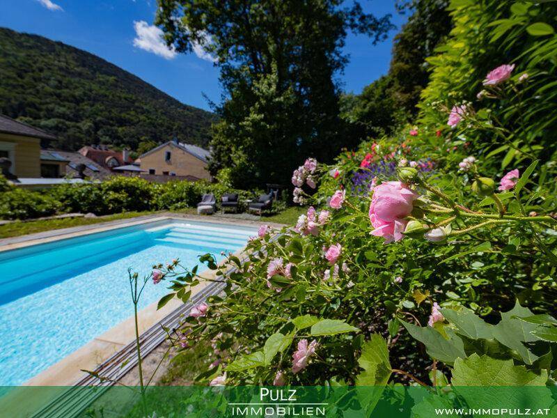 Außenpool umgeben von blühenden Rosen und üppiger grüner Vegetation mit Bergblick im Hintergrund.
