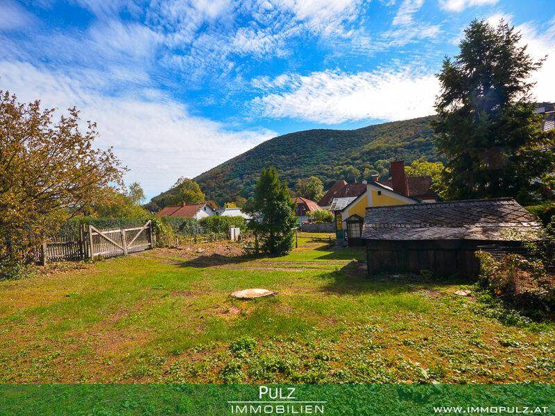 Weitläufiger Garten mit Rasen, Bäumen und einem Holzzaun, umgeben von ländlicher Idylle.