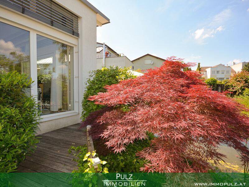 Holzterrasse am Haus, umgeben von üppiger Vegetation und einem roten Ahornbaum.