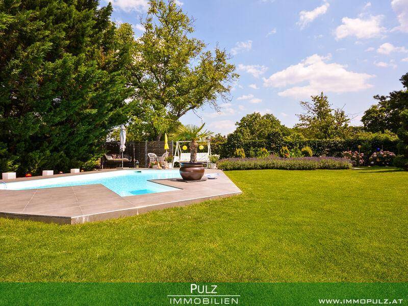 Sonniger Gartenbereich mit Swimmingpool, weitläufiger Rasenfläche und üppiger Bepflanzung.