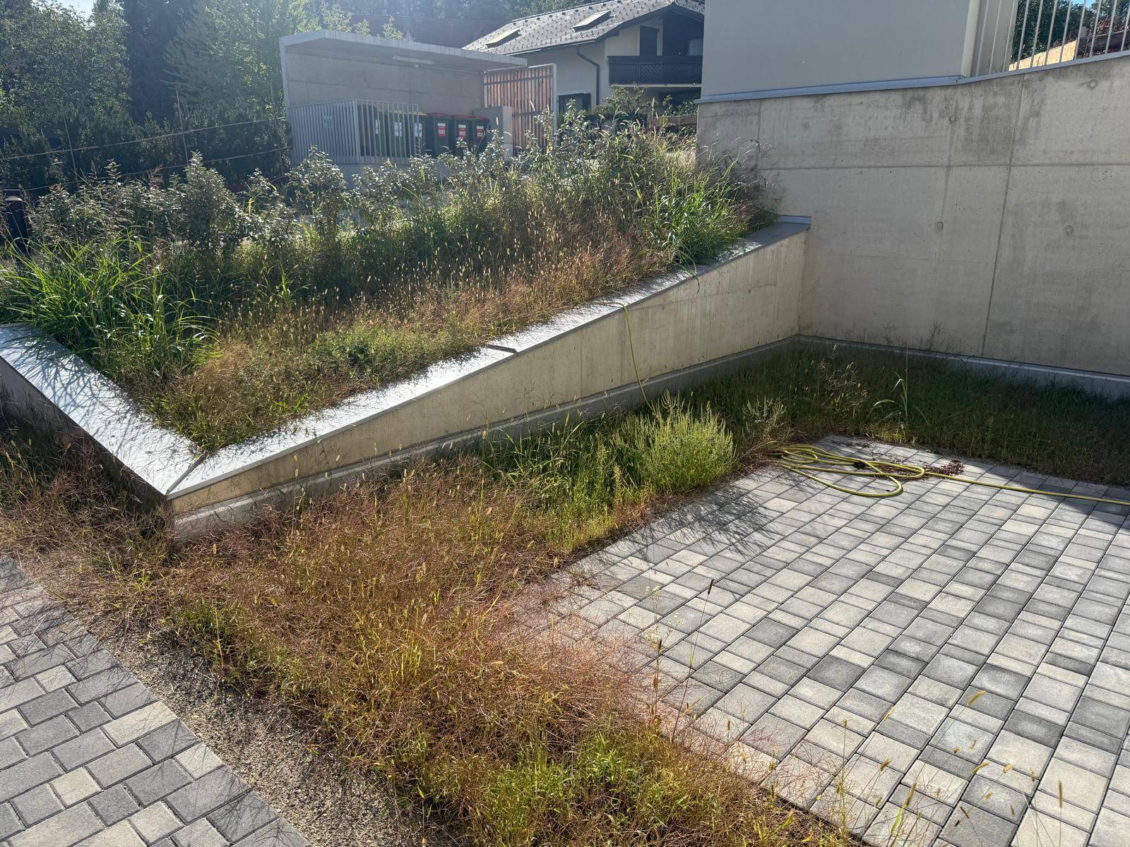 Außenbereich mit gepflasterter Fläche und ungenutzter Grünfläche neben dem Gebäude.