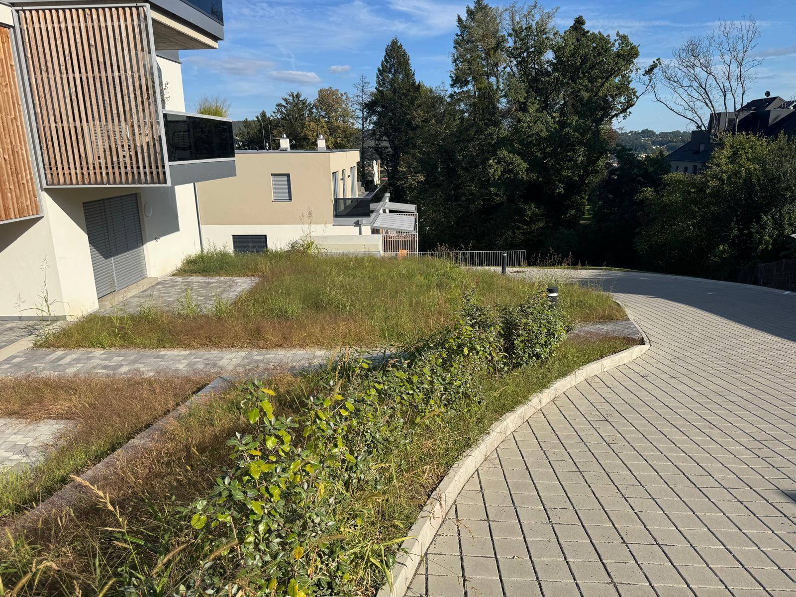 Moderne Wohnanlage mit gepflastertem Zugangsweg und begrünten Flächen in sonniger Umgebung.