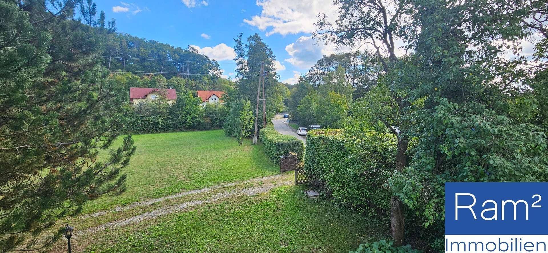 Grünes Grundstück mit Zufahrtsweg, Hecke und Blick auf eine Straße mit Häusern.