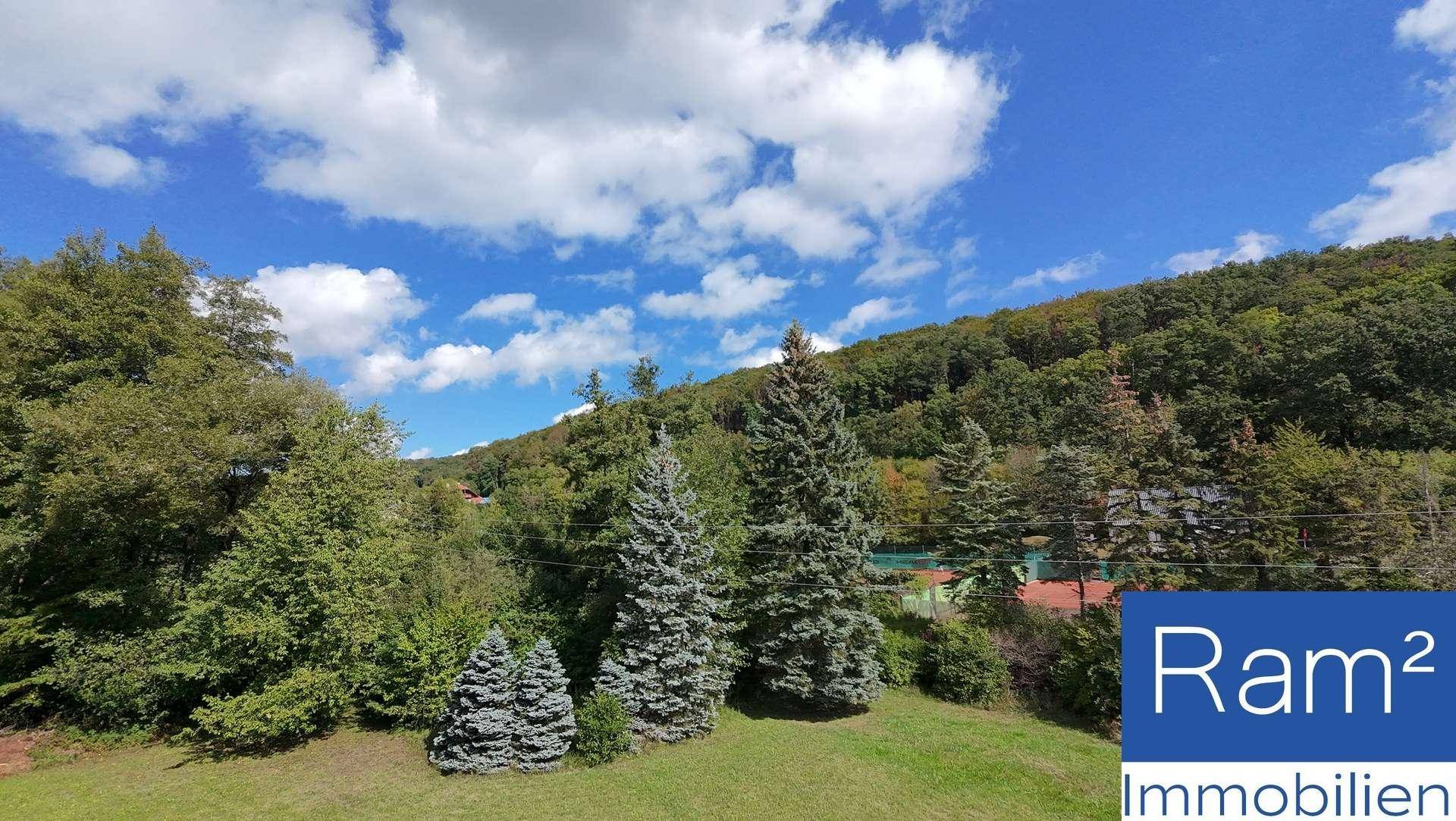 Weitläufige Rasenfläche mit Nadelbäumen und einem dichten Wald am Horizont unter blauem Himmel.