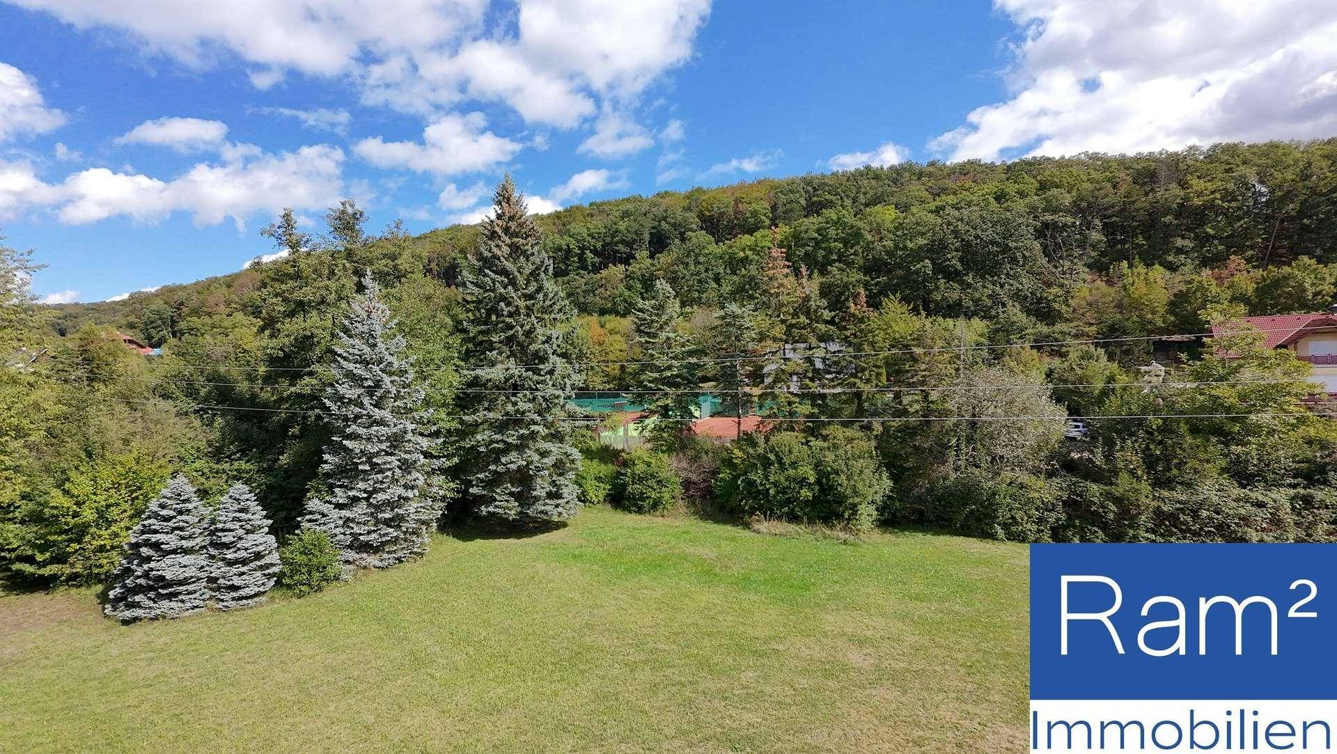 Grüne Wiese mit Nadelbäumen und einem Tennisplatz im Hintergrund, umgeben von Wald.