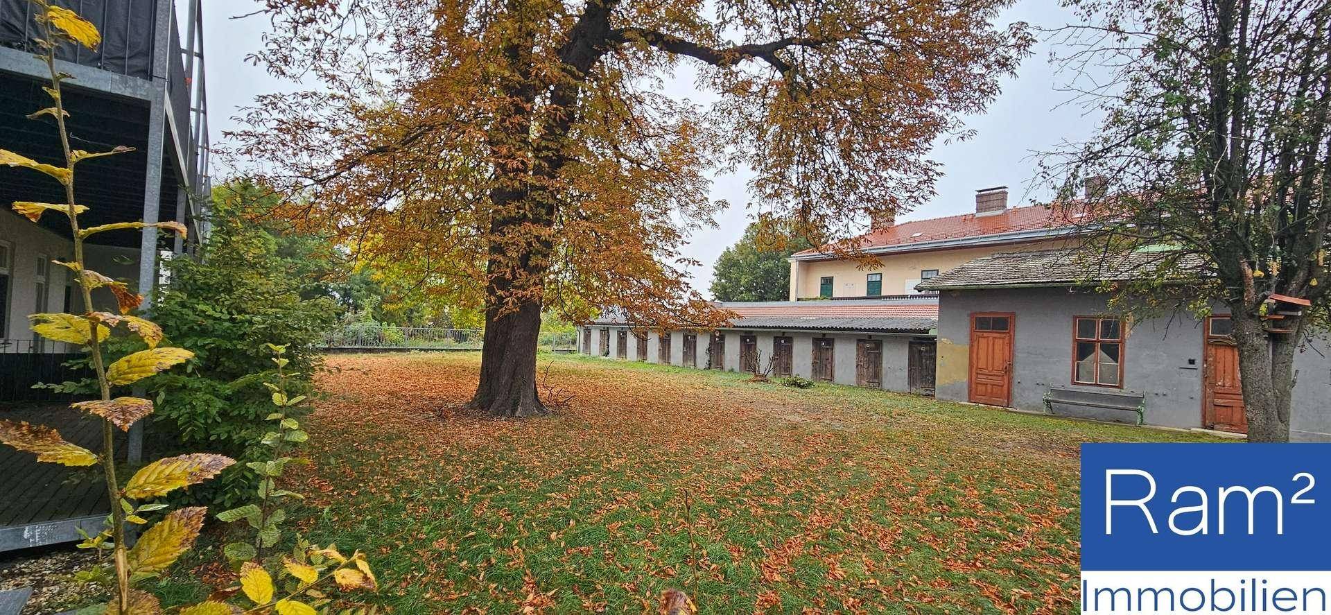 Großer Gartenbereich mit altem Baum, Rasenfläche und Nebengebäuden im Hintergrund.